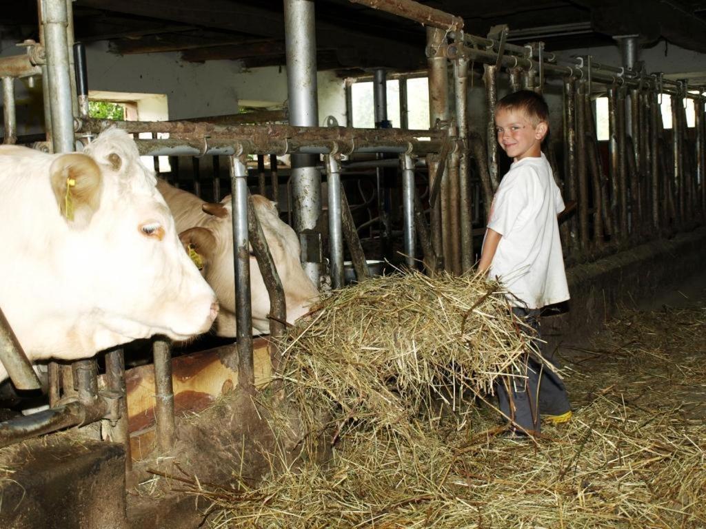 Farm stay Am Oberrainerhof *