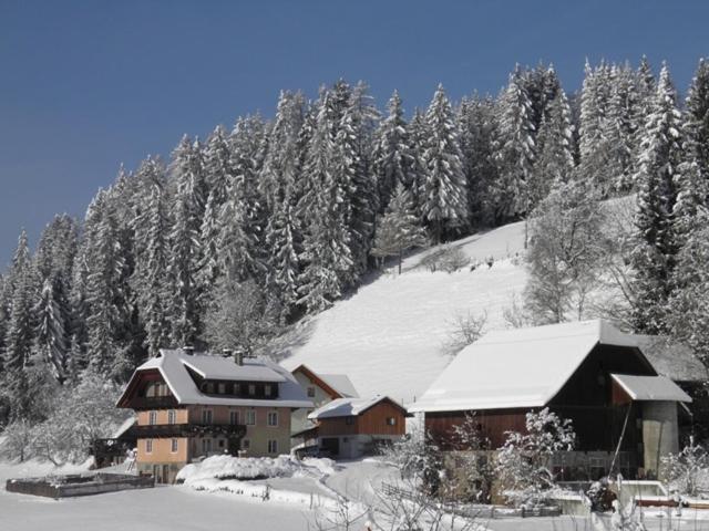 Farm stay Am Oberrainerhof Arriach
