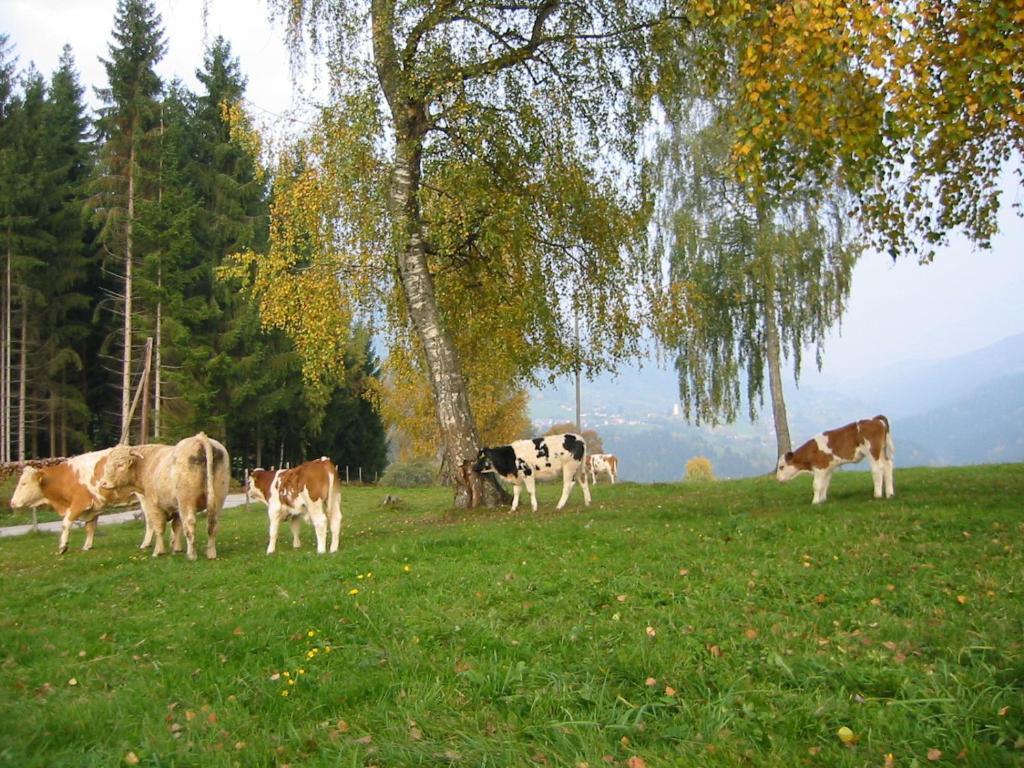 Am Oberrainerhof