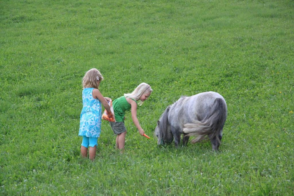 Farm stay Am Oberrainerhof