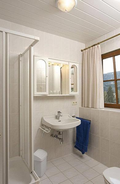 Am Oberrainerhof Farm stay Arriach